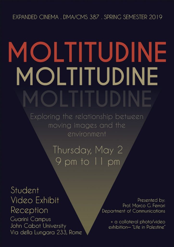 Moltitudine Student Video exhibit