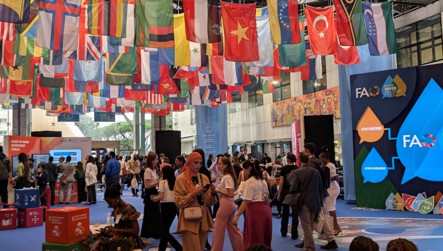 JCU Students Participate in 2024 Edition of World Food Forum at FAO Headquarters in Rome 